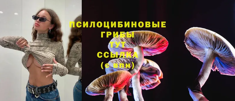 Псилоцибиновые грибы Psilocybe  MEGA   Неман 